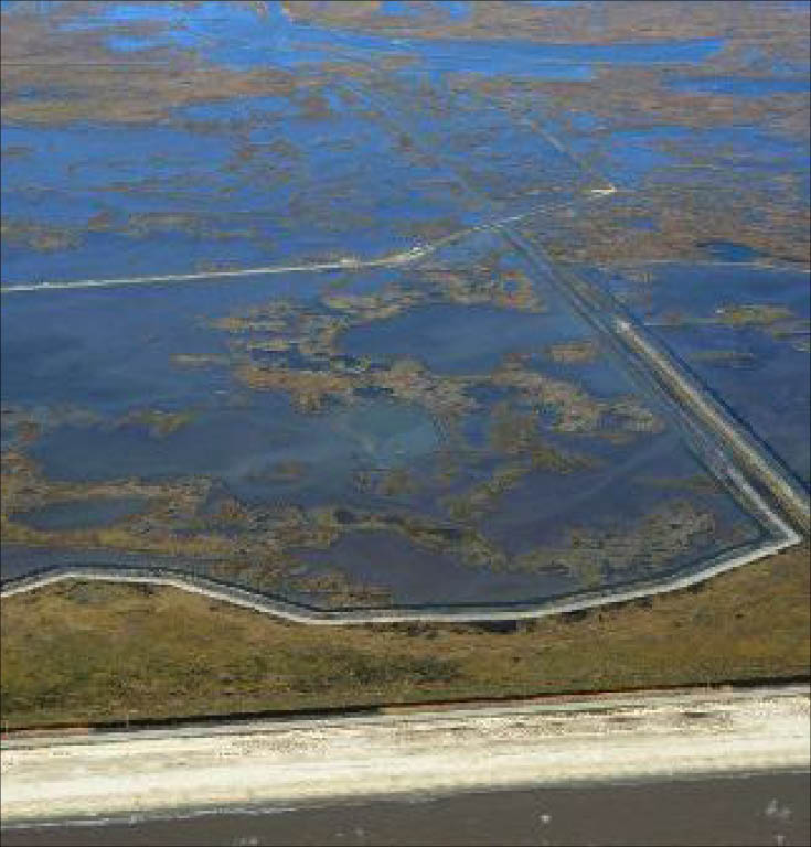 CPRA creates 1200 acres of marsh in Cameron Parish